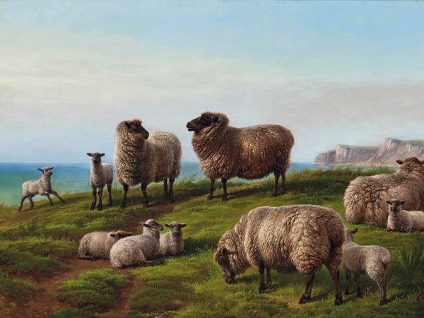 Charles Jones Sheep Grazing On A Headland By Charles Jones