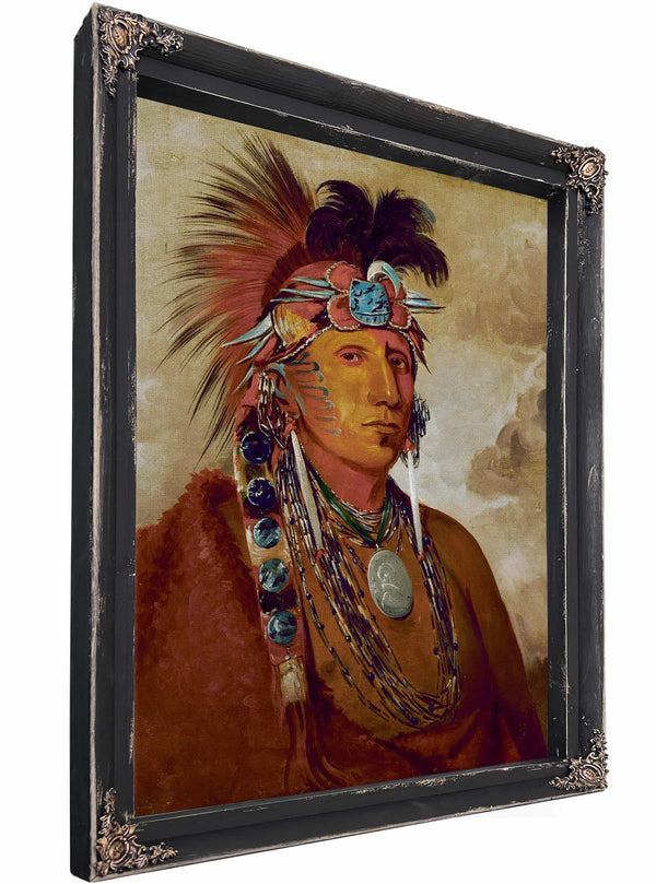 Sho Me Kos See Wolf A Chief By George Catlin