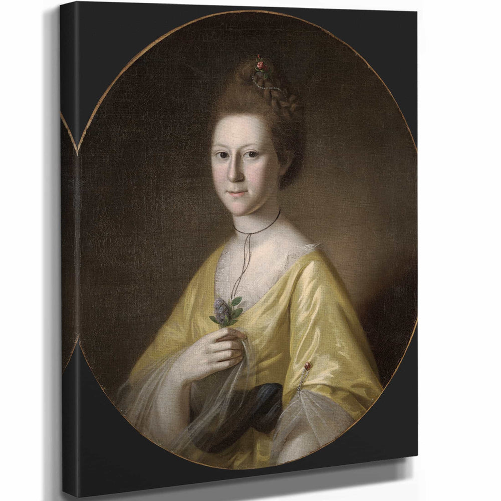 Charles Willson Peale Sophia Gough Carroll By Charles Willson Peale