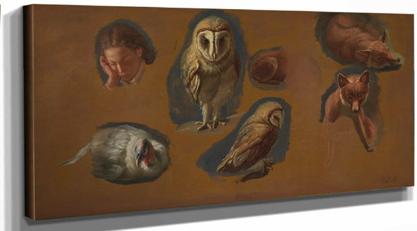 Jacques Laurent Agasse Studies Of A Fox A Barn Owl A Peahen And The Head Of A Young Man By Jacques Laurent Agasse