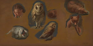 Jacques Laurent Agasse Studies Of A Fox A Barn Owl A Peahen And The Head Of A Young Man By Jacques Laurent Agasse