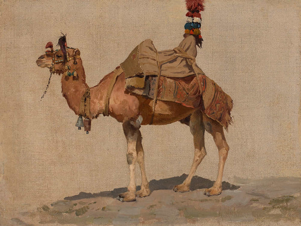 Aleksei Kivshenko Study Of A Camel By Aleksei Kivshenko