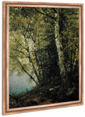 Study Of Beeches By John Frederick Kensett