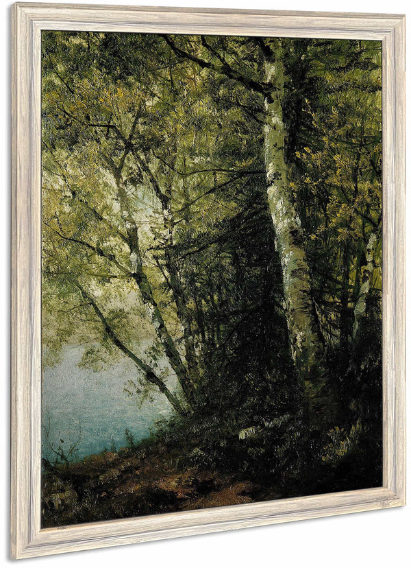 Study Of Beeches By John Frederick Kensett