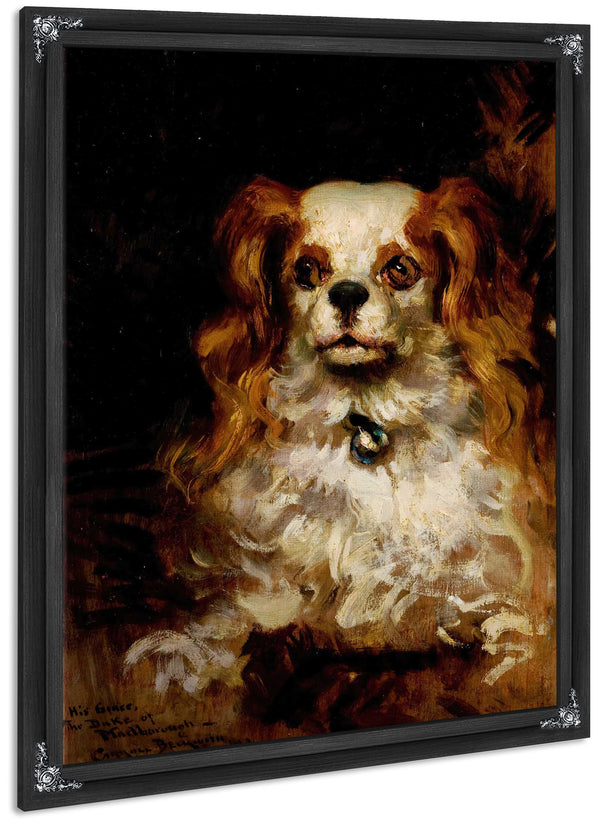 The Duke Of Marlborough Portrait Of A Puppy By James Carroll Beckwith