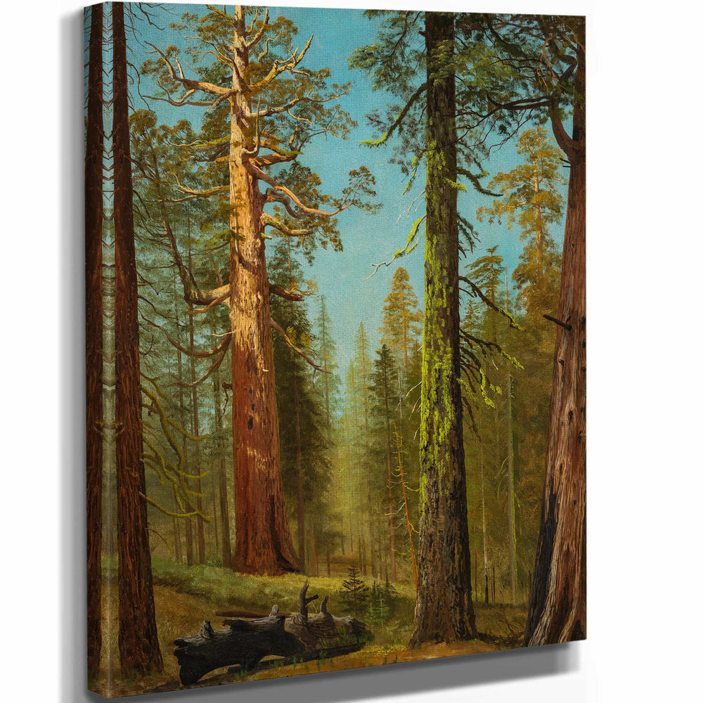 Albert Bierstadt The Grizzly Giant Sequoia Mariposa Grove California By Albert Bierstadt