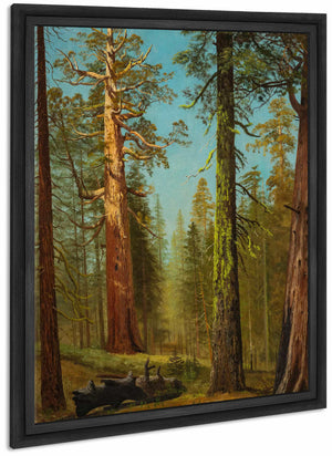 The Grizzly Giant Sequoia Mariposa Grove California By Albert Bierstadt