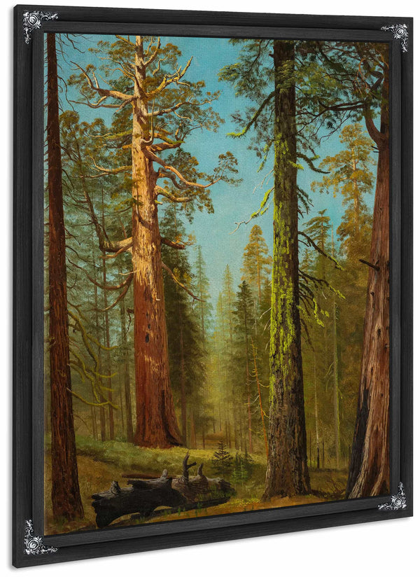 The Grizzly Giant Sequoia Mariposa Grove California By Albert Bierstadt