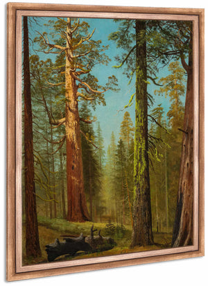 The Grizzly Giant Sequoia Mariposa Grove California By Albert Bierstadt