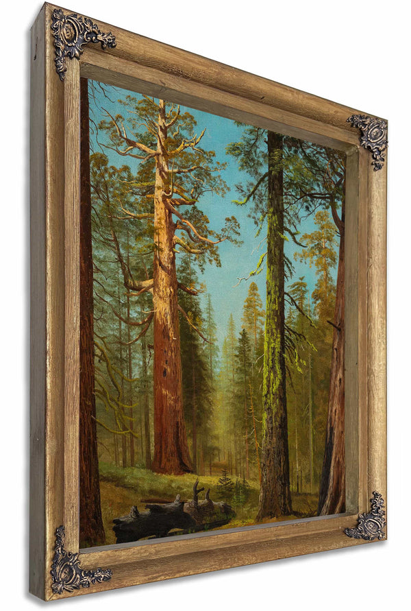 The Grizzly Giant Sequoia Mariposa Grove California By Albert Bierstadt