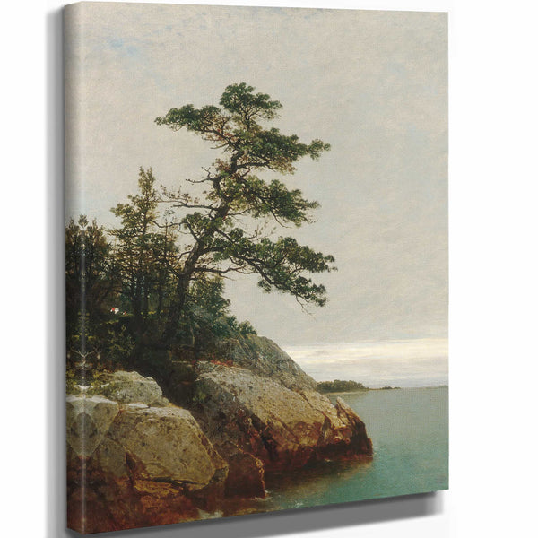 John Frederick Kensett The Old Pine Darien Connecticut By John Frederick Kensett