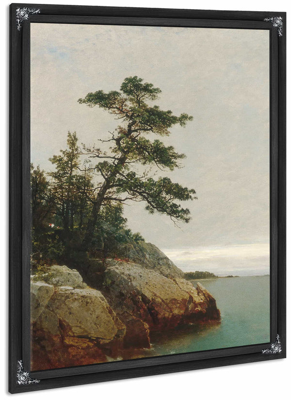 The Old Pine Darien Connecticut By John Frederick Kensett