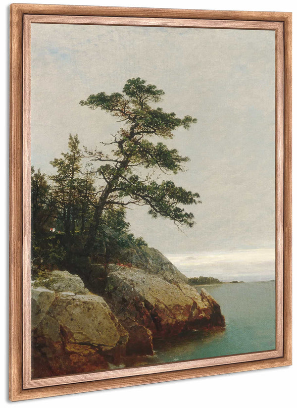 The Old Pine Darien Connecticut By John Frederick Kensett