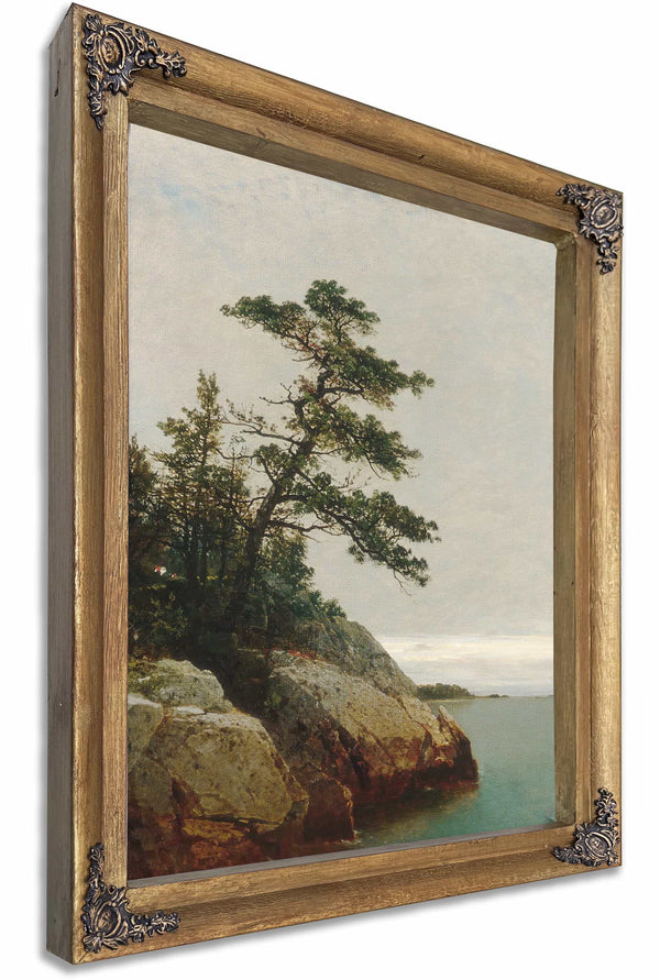 The Old Pine Darien Connecticut By John Frederick Kensett