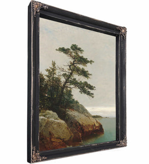 The Old Pine Darien Connecticut By John Frederick Kensett