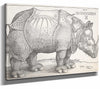 Albrecht Durer The Rhinoceros By Albrecht Durer