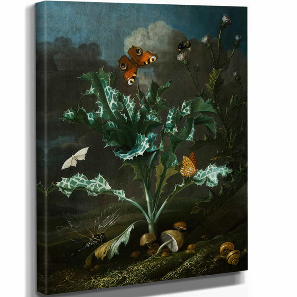 Otto Marseus Van Schrieck Thistles And Butterflies By Otto Marseus Van Schrieck