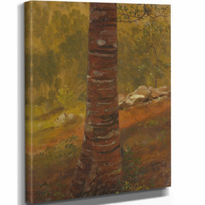 Frederic Edwin Church Tree Trunk By Frederic Edwin Church