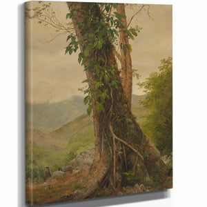 Frederic Edwin Church Tree With Vines Jamaica West Indies By Frederic Edwin Church