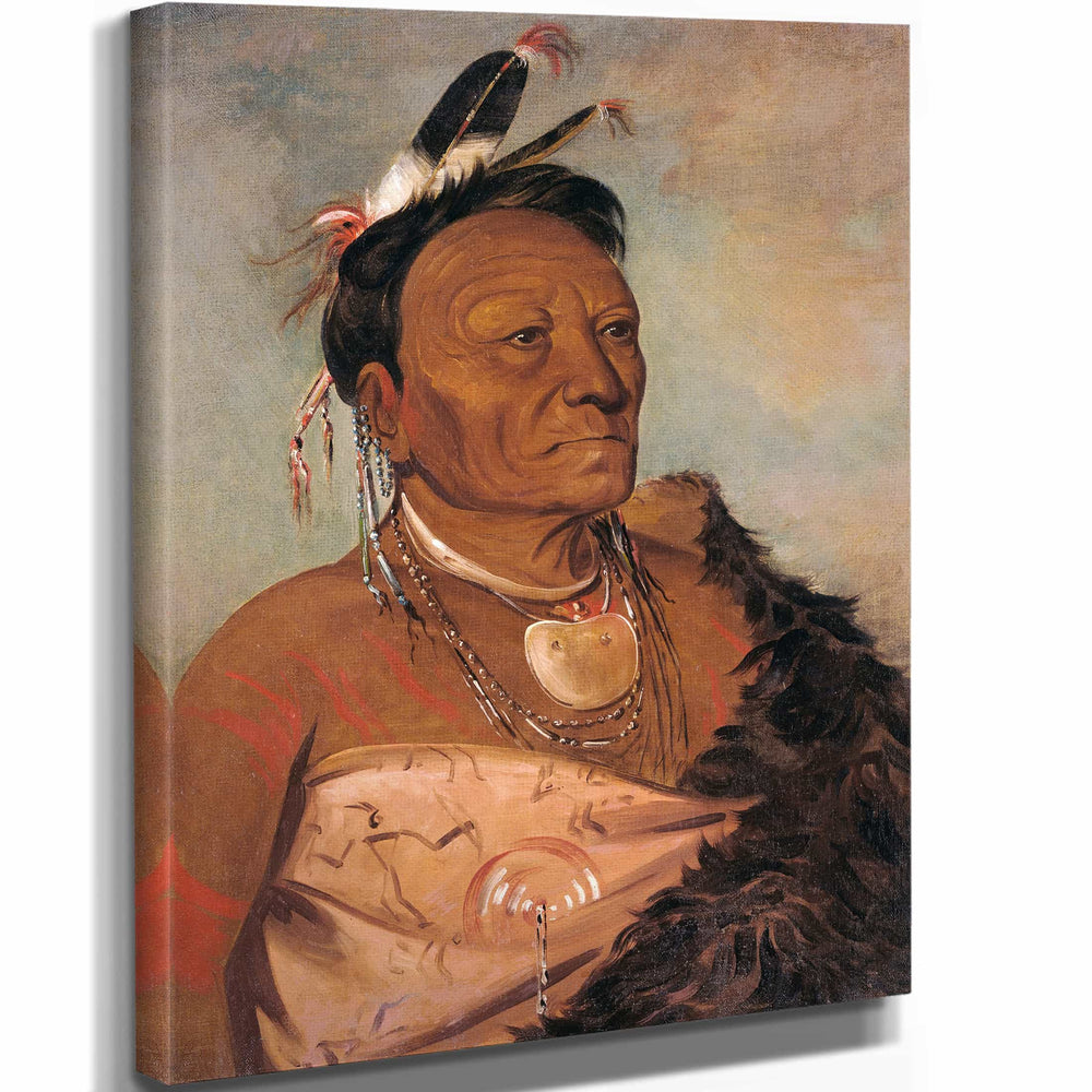 George Catlin 11" x 14" / Stretched Canvas Wrap Wee Ta Ra Sha Ro Head Chief Of The Tribe By George Catlin