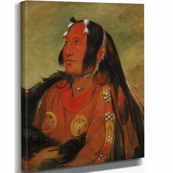 George Catlin 11" x 14" / Stretched Canvas Wrap Wi Jun Jon Pigeons Egg Head A Distinguished Young Warrior By George Catlin