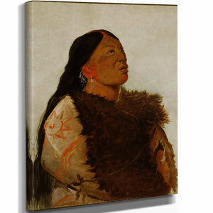 George Catlin Wife Of The Six By George Catlin