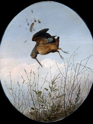 Thomas Hewes Hinckley Woodcock By Thomas Hewes Hinckley