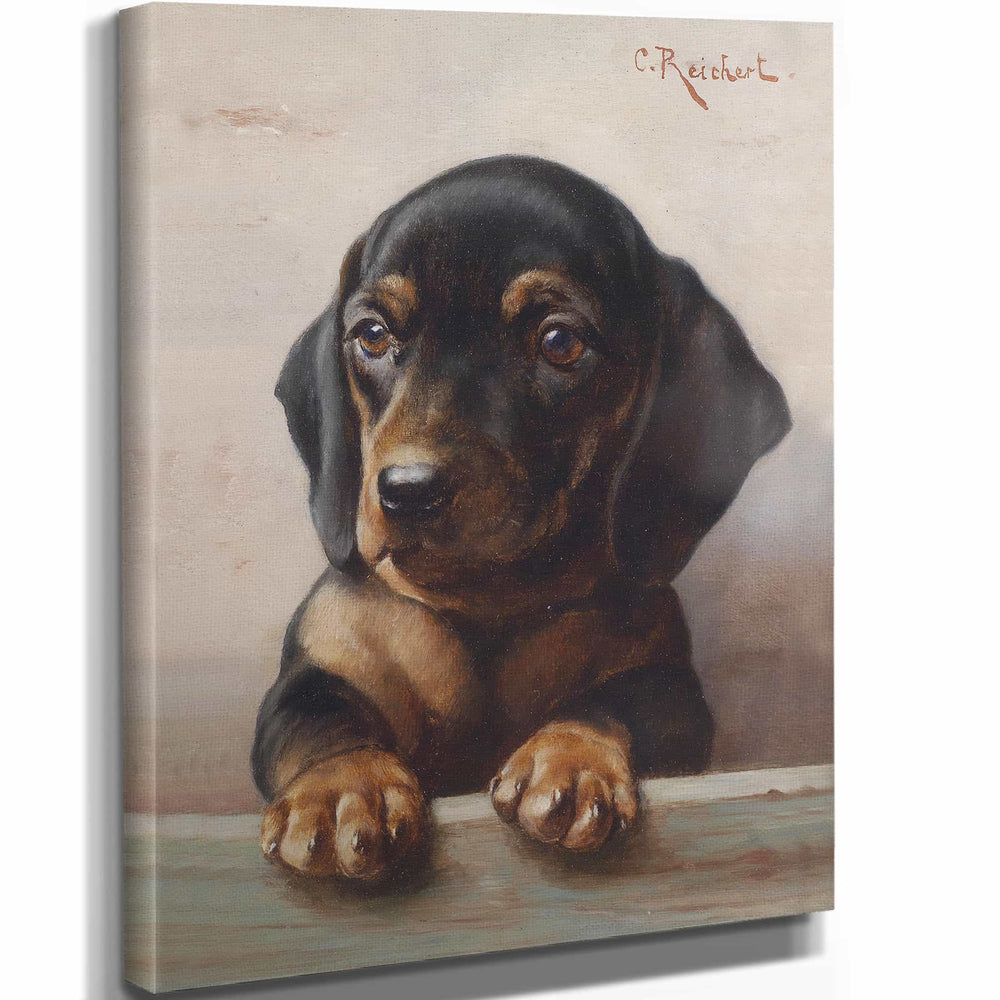 Carl Reichert Young Dachshund By Carl Reichert