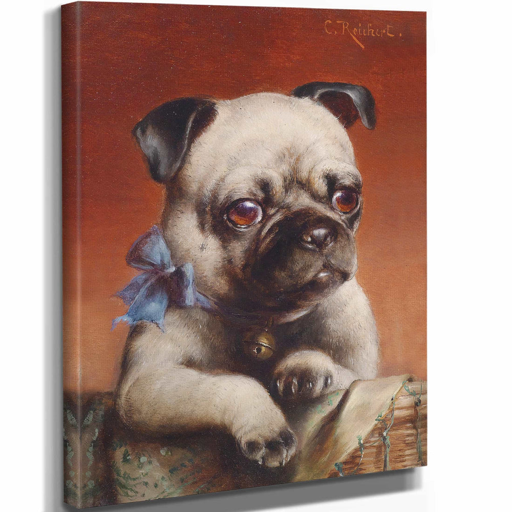 Carl Reichert Young Pug By Carl Reichert