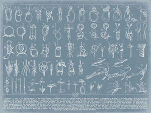 Bella Frye Home & Garden > Decor > Artwork Nautical Knots Reference Wall Art - Types of Knots Print
