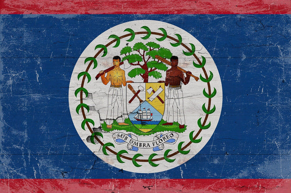 Bella Frye 14" x 11" / Unframed Paper Giclee Belize Flag Wall Art - Vintage Belize Flag Sign Weathered Wood Style on Canvas