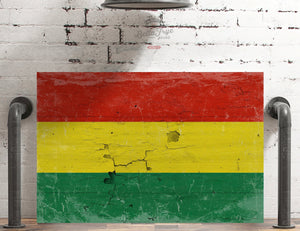 Bella Frye Bolivia Flag Wall Art - Vintage Bolivia Flag Sign Weathered Wood Style on Canvas