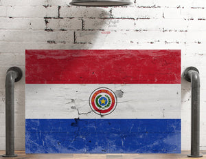 Bella Frye Paraguay Flag Wall Art - Vintage Paraguay Flag Sign Weathered Wood Style on Canvas