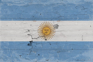 Bella Frye Argentina Flag Wall Art - Vintage Argentina Flag Sign Weathered Wood Style on Canvas