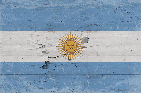 Bella Frye Argentina Flag Wall Art - Vintage Argentina Flag Sign Weathered Wood Style on Canvas