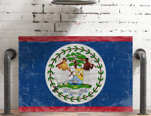 Bella Frye Belize Flag Wall Art - Vintage Belize Flag Sign Weathered Wood Style on Canvas