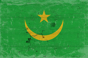 Bella Frye Mauritania Flag Wall Art - Vintage Mauritania Flag Sign Weathered Wood Style on Canvas