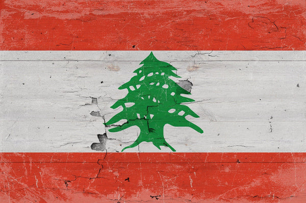 Bella Frye Lebanon Flag Wall Art - Vintage Lebanon Flag Sign Weathered Wood Style on Canvas