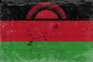 Bella Frye Malawi Flag Wall Art - Vintage Malawi Flag Sign Weathered Wood Style on Canvas