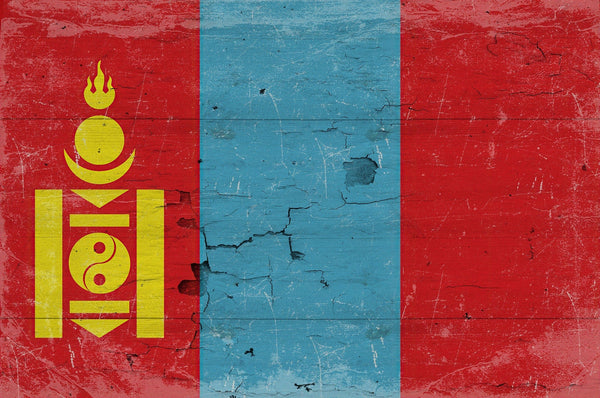 Bella Frye Mongolia Flag Wall Art - Vintage Mongolia Flag Sign Weathered Wood Style on Canvas