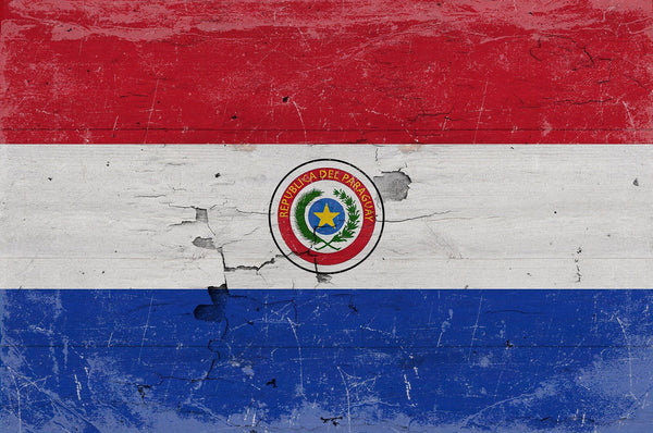 Bella Frye Paraguay Flag Wall Art - Vintage Paraguay Flag Sign Weathered Wood Style on Canvas