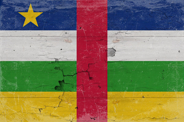 Bella Frye 14" x 11" / Unframed Paper Giclee Central African Republic Flag Wall Art - Vintage Central African Republic Flag Sign Weathered Wood Style on Canvas