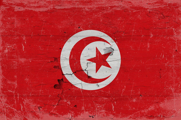 Bella Frye Tunisia Flag Wall Art - Vintage Tunisia Flag Sign Weathered Wood Style on Canvas