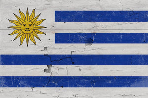 Bella Frye Uruguay Flag Wall Art - Vintage Uruguay Flag Sign Weathered Wood Style on Canvas