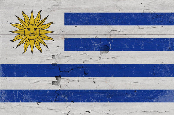 Bella Frye Uruguay Flag Wall Art - Vintage Uruguay Flag Sign Weathered Wood Style on Canvas